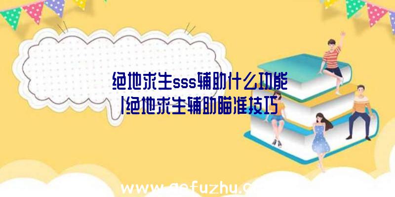 「绝地求生sss辅助什么功能」|绝地求生辅助瞄准技巧